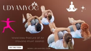 Home Yoga Exercises for the Beginners, with an Emphasis for Handling it Properly